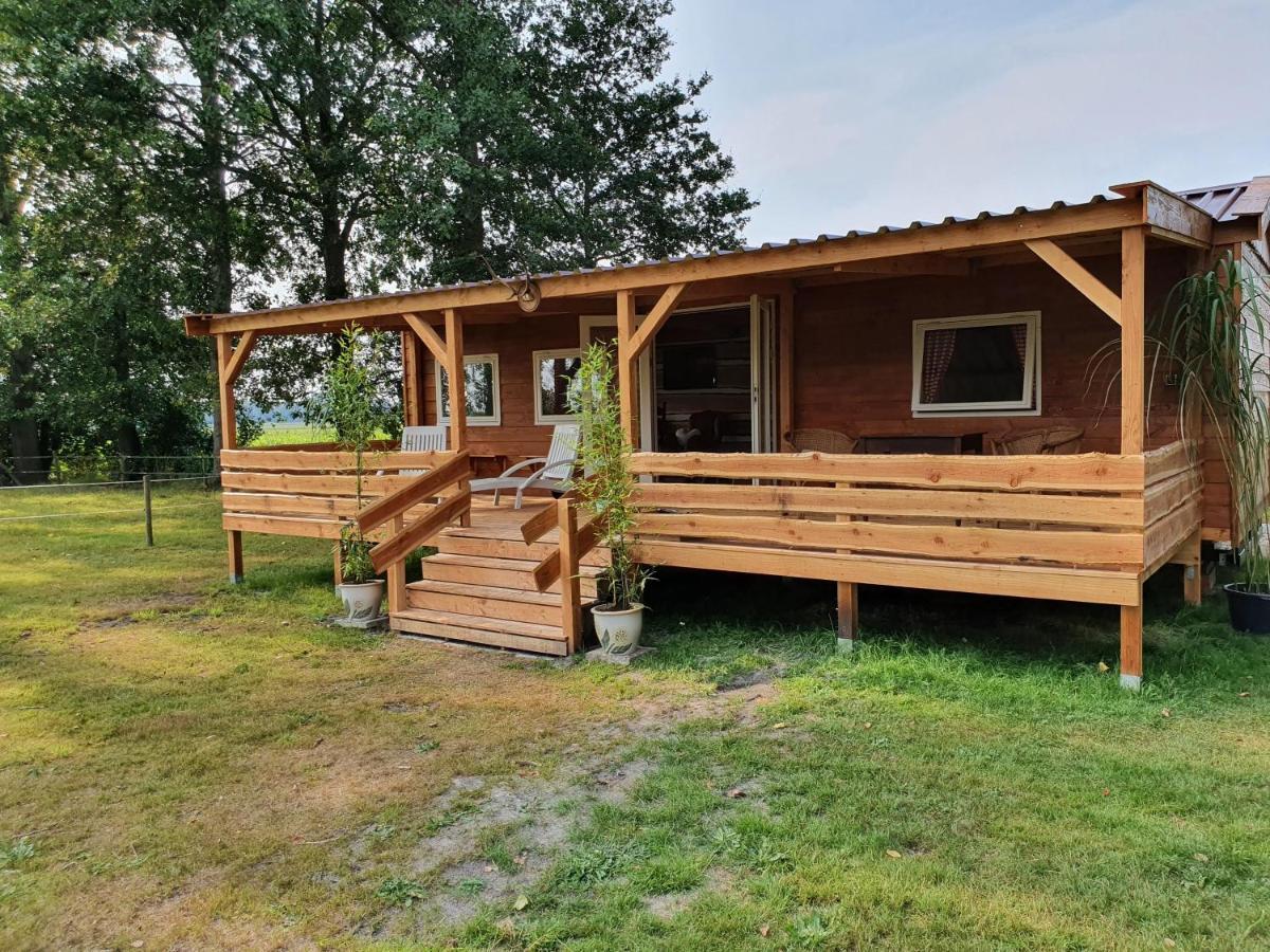 Apartamento Tiny House Het Reebokje Vriescheloo Exterior foto