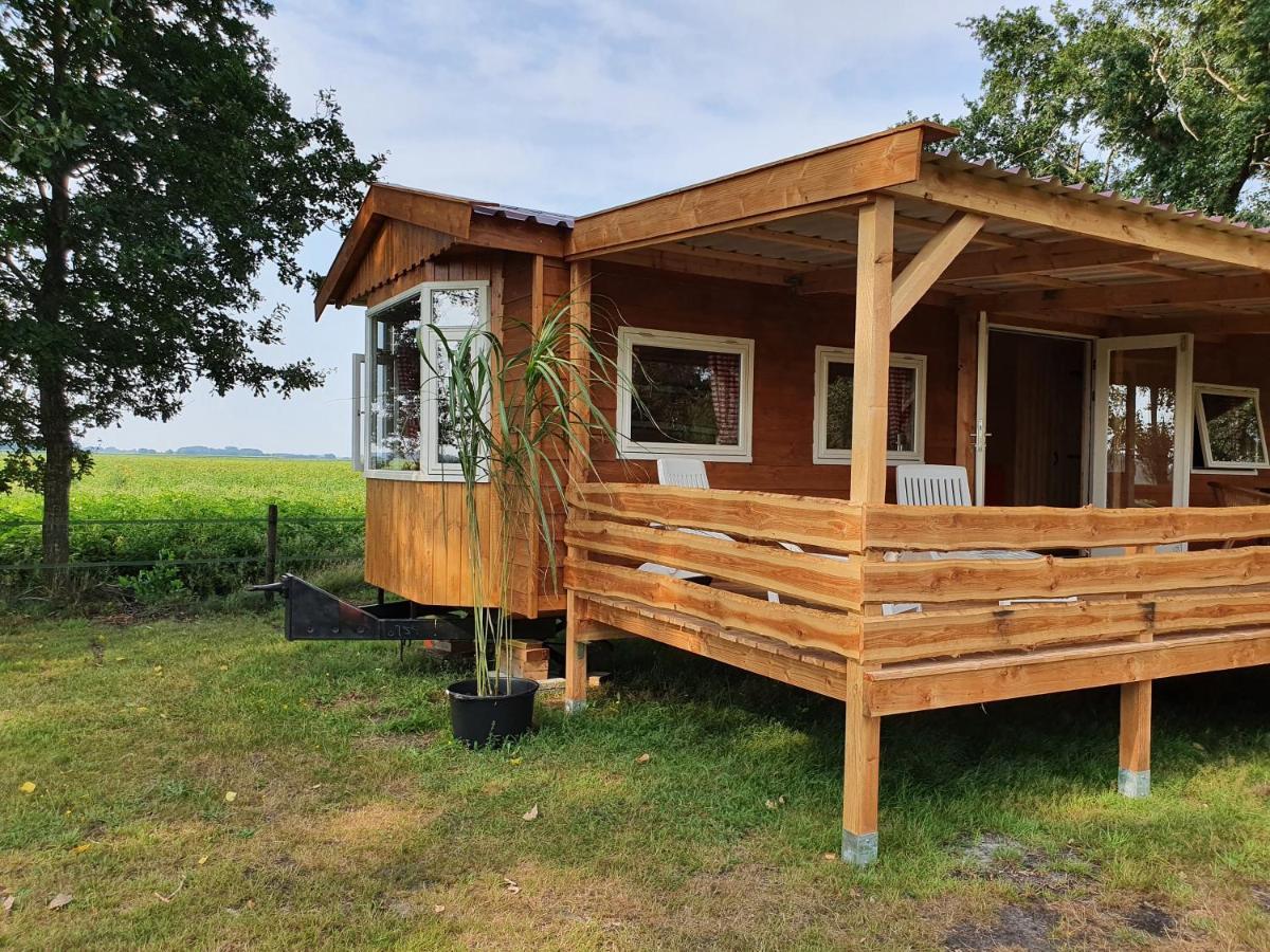 Apartamento Tiny House Het Reebokje Vriescheloo Exterior foto