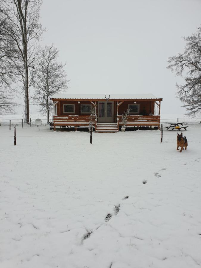 Apartamento Tiny House Het Reebokje Vriescheloo Exterior foto