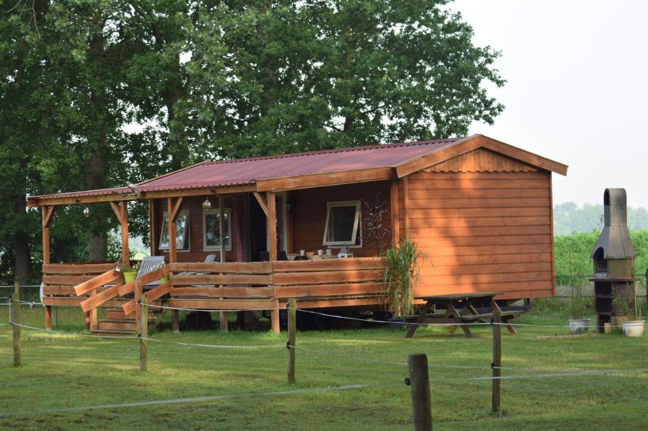 Apartamento Tiny House Het Reebokje Vriescheloo Exterior foto