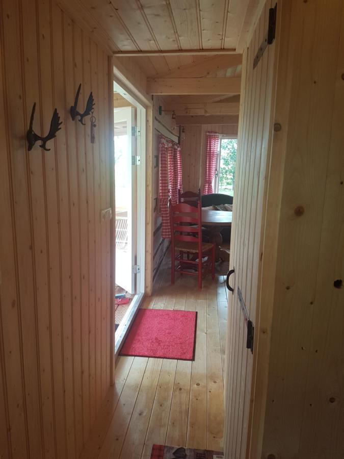 Apartamento Tiny House Het Reebokje Vriescheloo Exterior foto