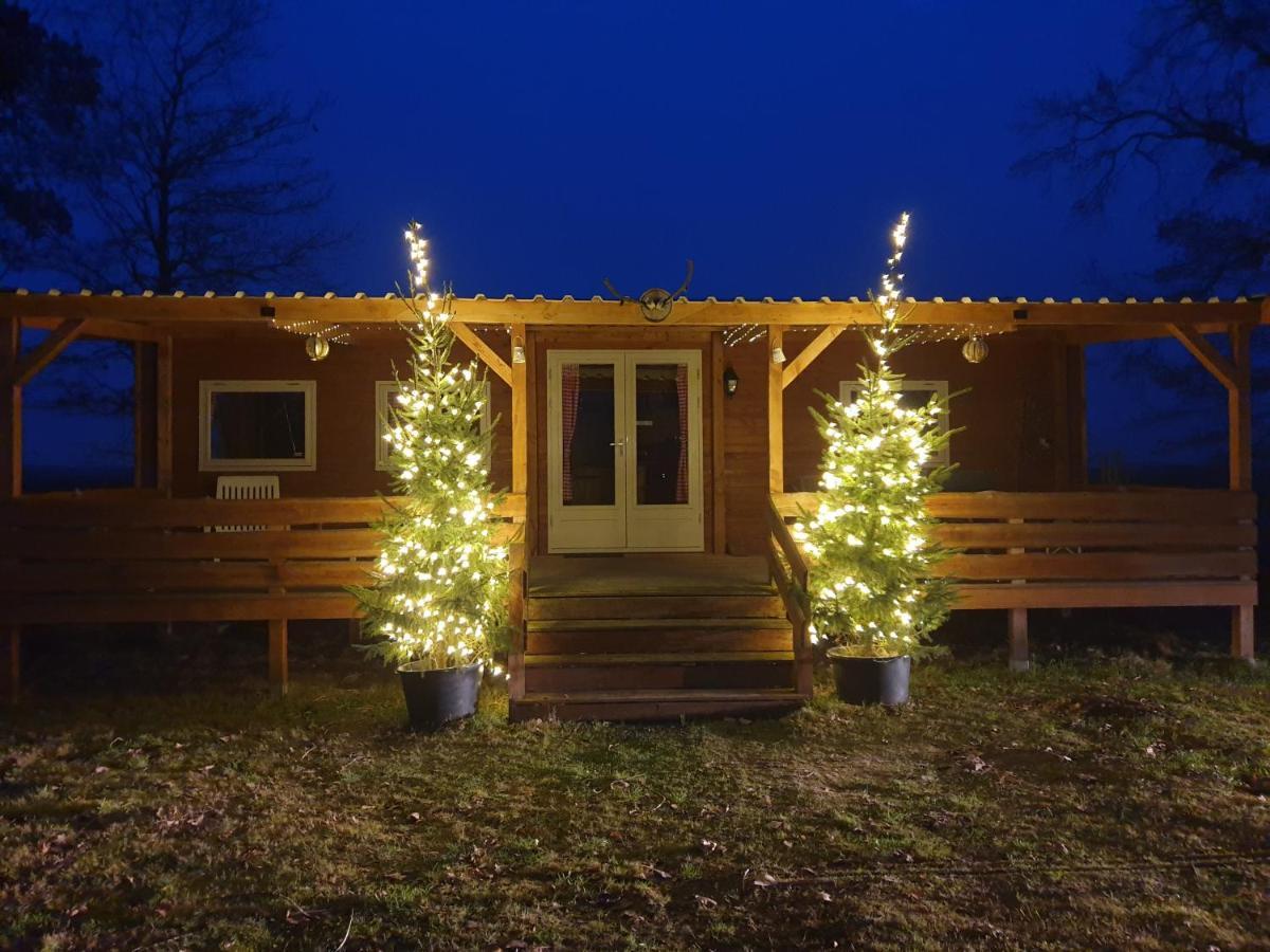 Apartamento Tiny House Het Reebokje Vriescheloo Exterior foto